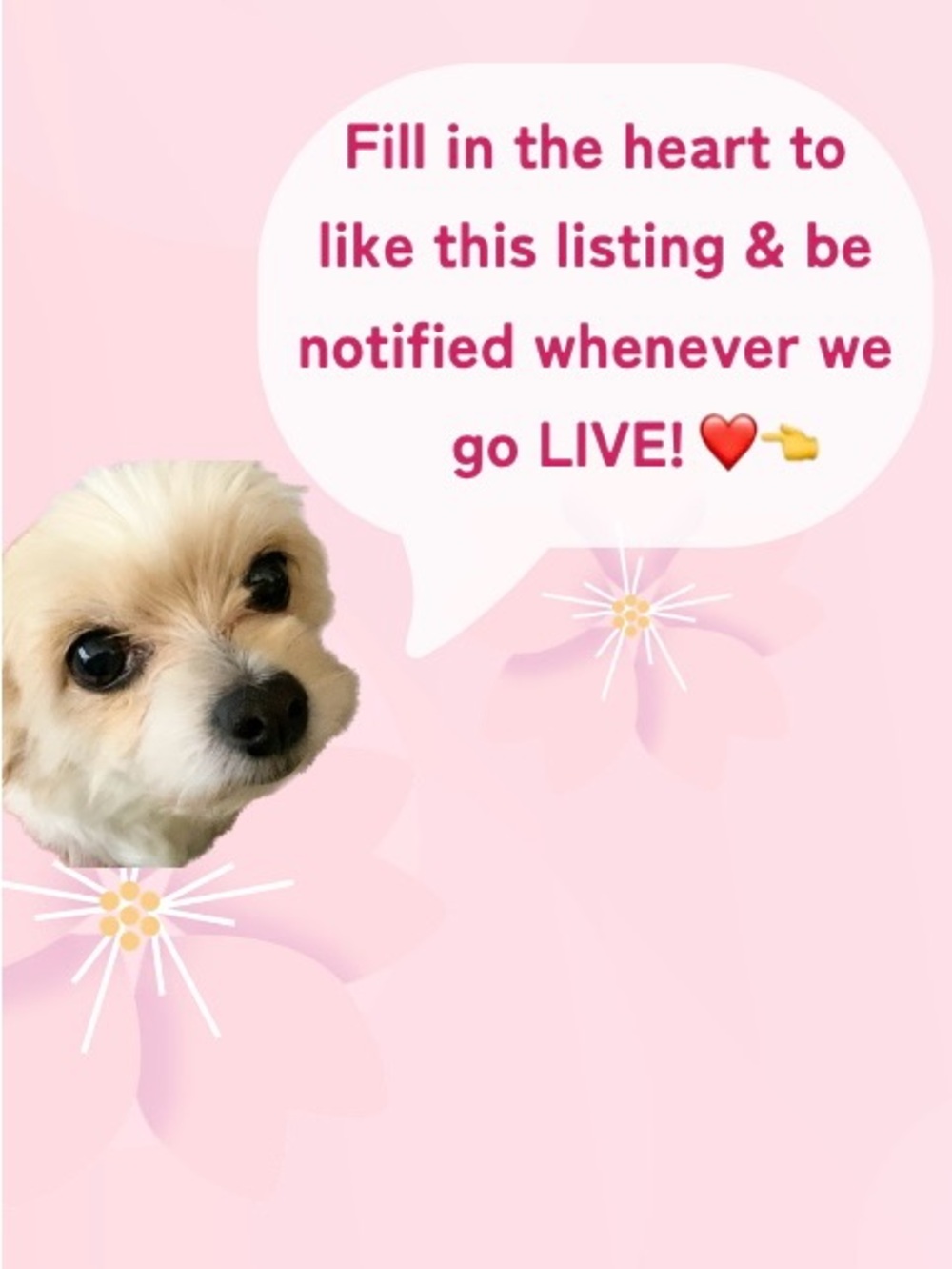CASSIEJAEE IS LIVE!! ❤️🦋 TUES MAY 12 • ALL THINGS SUMMER SHARE SHOW 🐚👙🌊☀️ - Picture 11 of 11